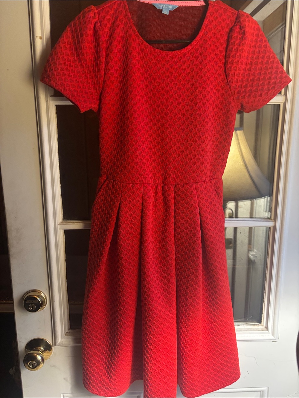 Draper James Bright Red Textured Pleated Short-Sleeve Dress